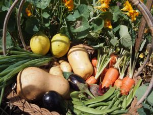 produce form our organic vegetable garden