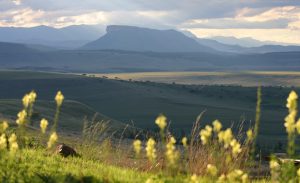 uninterrupted views of the Drakensberg Mountains