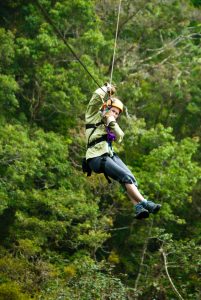 Drakensberg Canopy tour